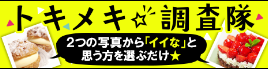 トキメキ調査隊